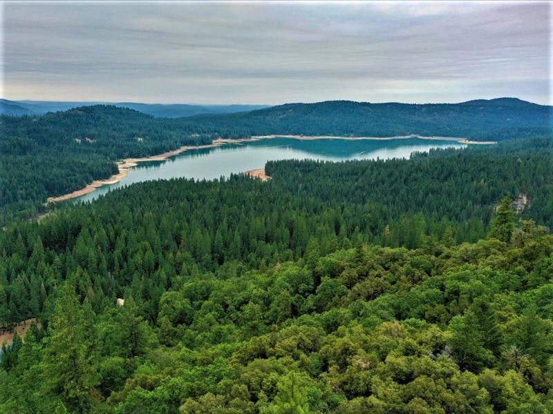 Overlooking Scotts Flat Lake